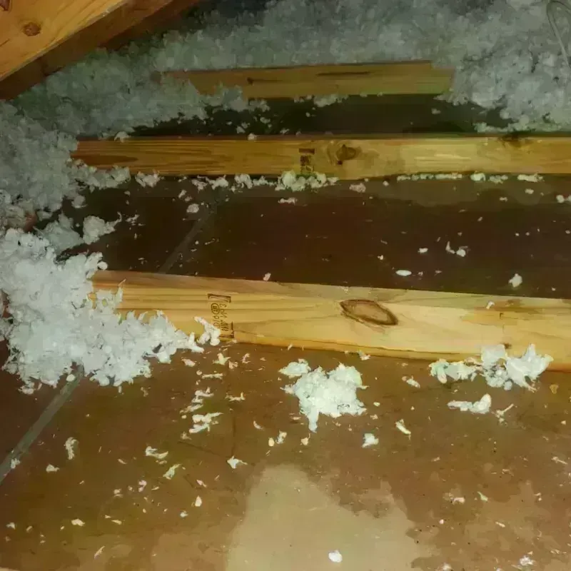 Attic Water Damage in West Tawakoni, TX